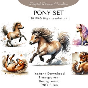 Hochwertiges Pony Clipart Bundle mit transparenten Hintergründen | 10 hochwertige PNG Illustrationen | Aquarell mit fließenden Pinselstrichen
