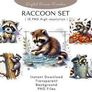 Lot de cliparts raton laveur avec arrière-plans transparents | 10 illustrations PNG de haute qualité | Style aquarelle avec des coups de pinceau fluides