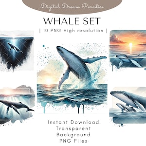 Whale Clipart Bundle with Transparent Backgrounds | 10 High Quality PNG Illustrations | Watercolor Style with Fluid Brushstrokes