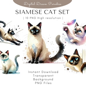 Lot de cliparts chat siamois avec arrière-plans transparents | 10 illustrations PNG de haute qualité | Style aquarelle avec des coups de pinceau fluides