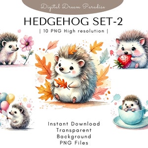 Hedgehog set-2 Clipart Bundle with Transparent Backgrounds | 10 High Quality PNG Illustrations | Watercolor Style with Fluid Brushstrokes