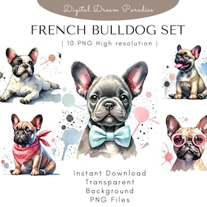Französische Bulldogge Clipart-Bundle mit transparenten Hintergründen | 10 hochwertige PNG Illustrationen | Aquarell mit fließenden Pinselstrichen