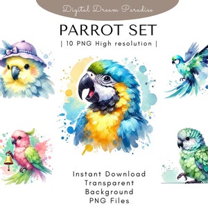 Parrot Bird Clipart Bundle with Transparent Backgrounds | 10 High Quality PNG Illustrations | Watercolor Style with Fluid Brushstrokes