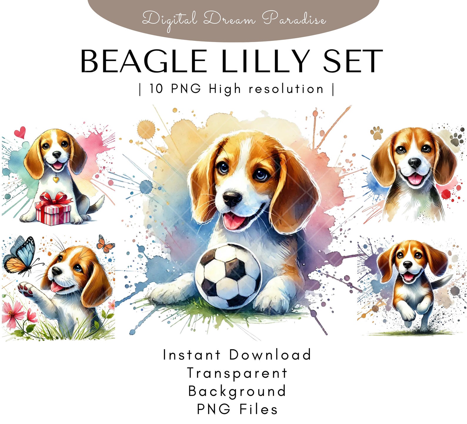 High Quality Beagle Clipart Bundle With Transparent Backgrounds | 10 ...