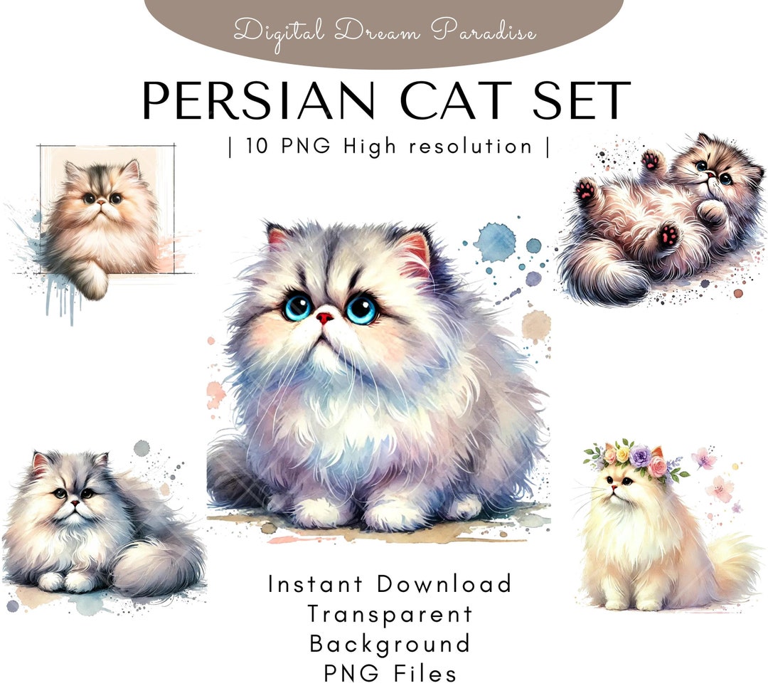 Persian Cat Clipart Bundle With Transparent Backgrounds | 10 High ...