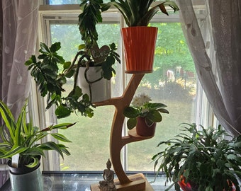 ZEN Plant Display Stand main image 0