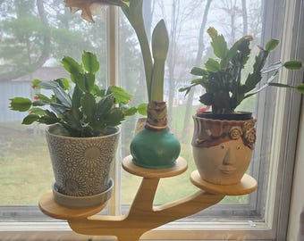 Tranquil plant stand