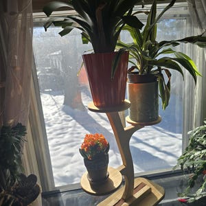 Pode incluir: Um suporte de plantas de madeira com tr&ecirc;s n&iacute;veis, segurando plantas em vasos. O suporte tem um acabamento de madeira natural com um detalhe em madeira escura. As plantas incluem uma planta verde grande em um vaso laranja e uma planta verde e branca em um vaso verde.