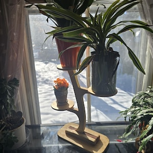 Pode incluir: Um suporte de plantas de madeira com tr&ecirc;s n&iacute;veis, segurando plantas em vasos. O suporte tem um acabamento de madeira natural com um detalhe marrom escuro. As plantas incluem uma planta verde grande em um vaso de terracota, uma planta listrada verde e branca em um vaso escuro e uma pequena flor laranja.