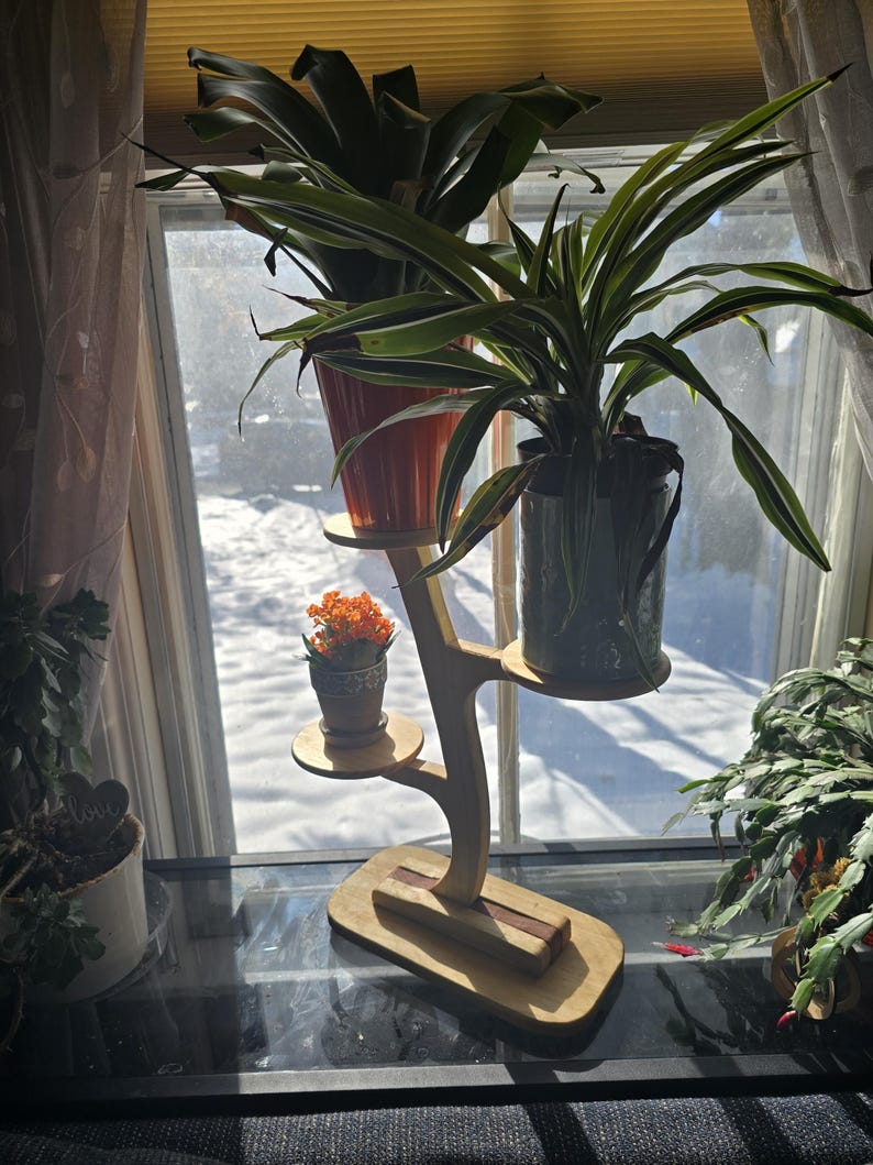 Pode incluir: Um suporte de plantas de madeira com tr&ecirc;s n&iacute;veis, segurando plantas em vasos. O suporte tem um acabamento de madeira natural com um detalhe marrom escuro. As plantas incluem uma planta verde grande em um vaso de terracota, uma planta listrada verde e branca em um vaso escuro e uma pequena flor laranja.
