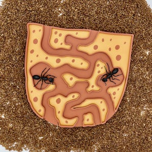 May include: A layered, stylized ant farm design with a tan and orange color scheme. Two black ants are positioned within the maze-like structure. The background is filled with small, brown seed-like objects.