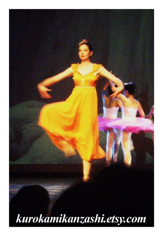 Cinderella - Fairy Godmother - Vintage Ballet Cost