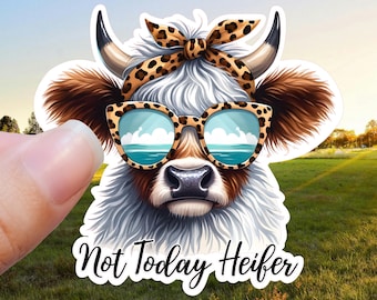 Highland Cow Sticker: Not Today Heifer, Waterproof Vinyl
