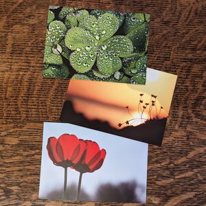 Lot de 3 cartes postales ou de remerciements sur le thème de la nature
