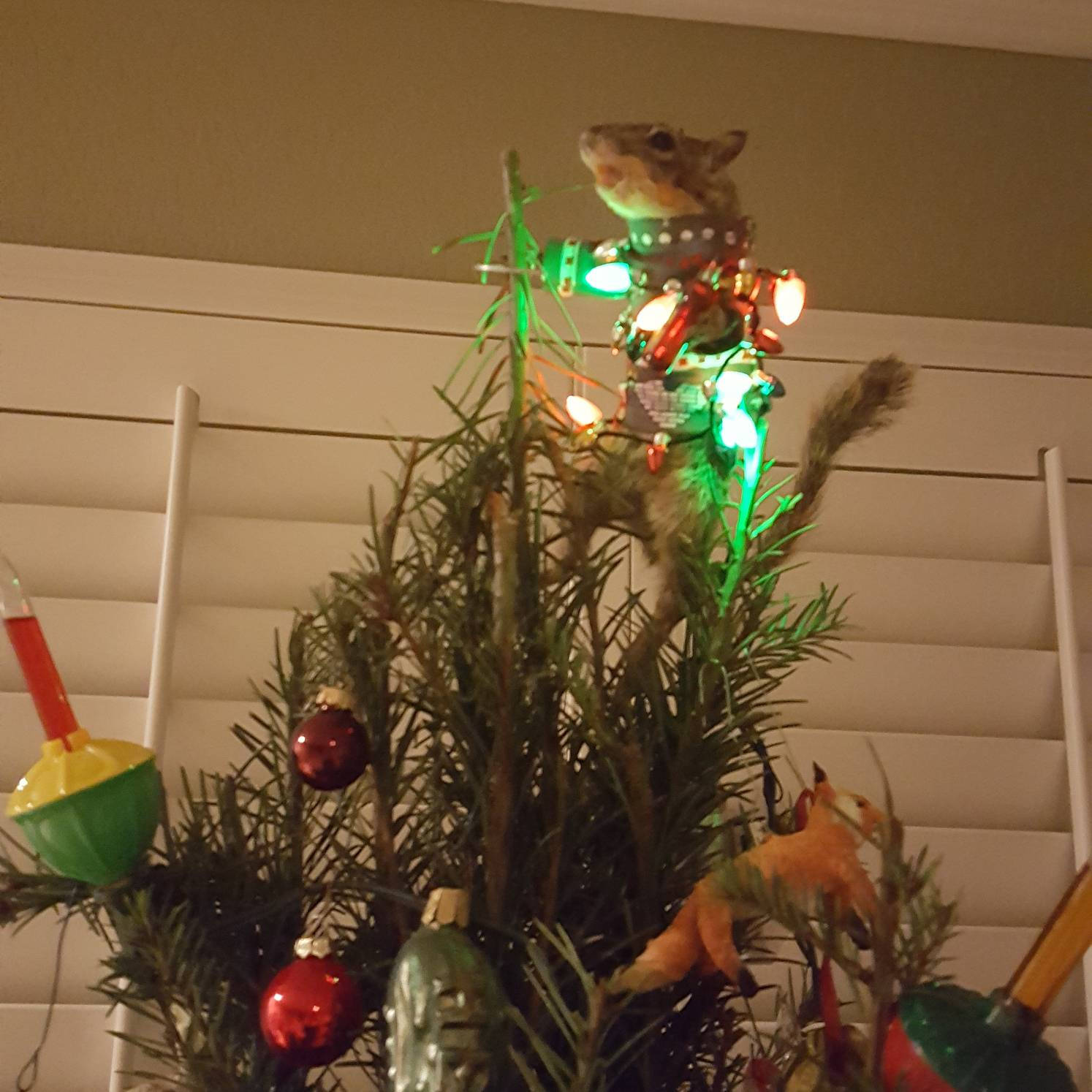 personalised pet moletom com capuz