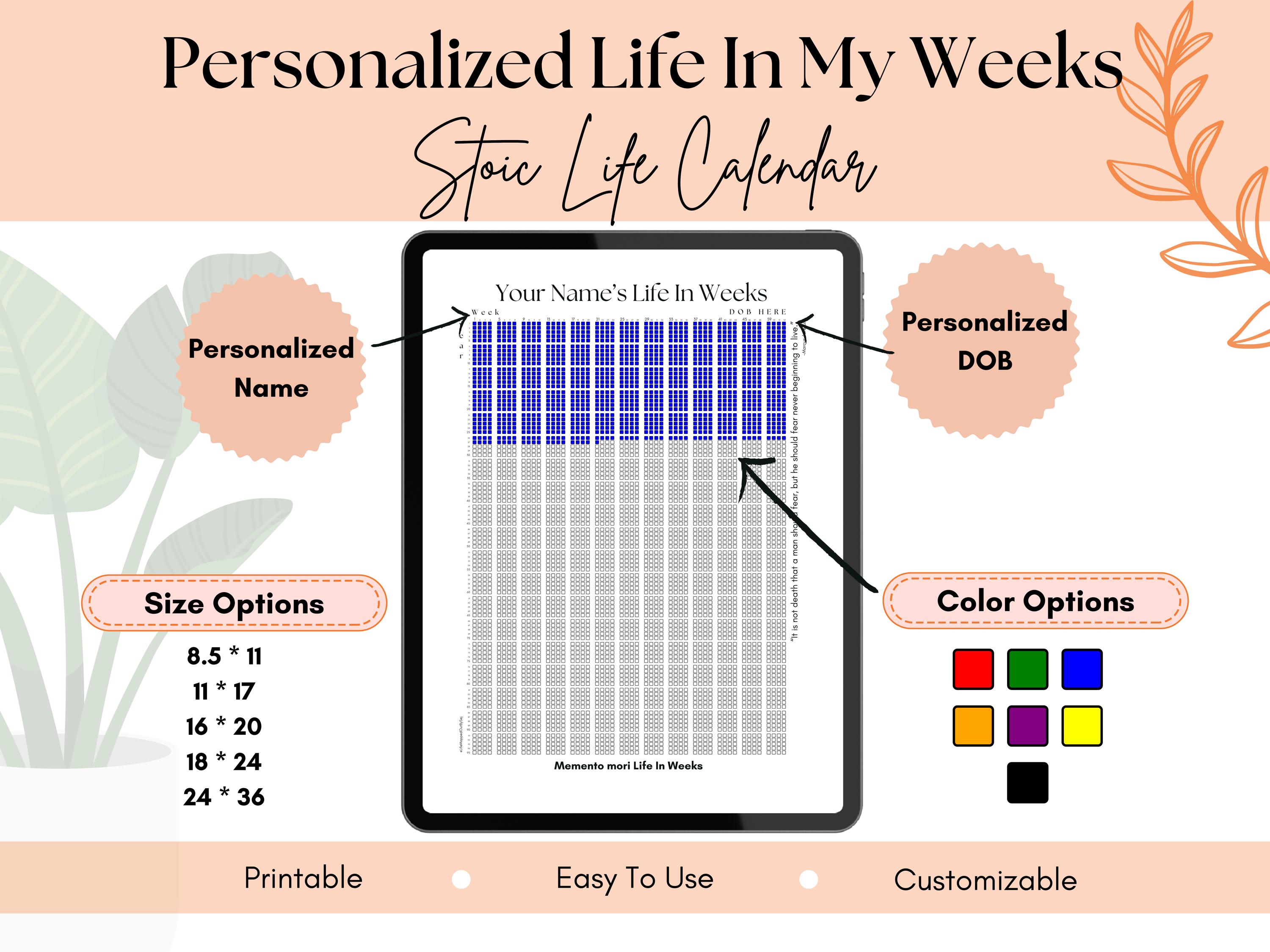 Blue Memento Mori Poster Life in Weeks Calendar Digital Print