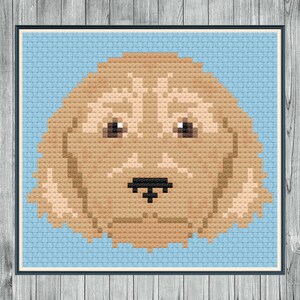 Może przedstawiać: Zpikselowany obraz pyska szczeniaka golden retrievera na jasnoniebieskim tle.