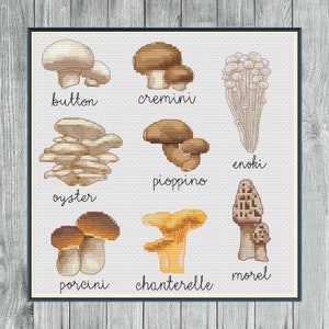 Op de afbeelding: Een diagram met illustraties van verschillende soorten paddenstoelen, waaronder champignons, cremini, enoki, oesterzwammen, pioppino, cantharellen, morieljes en porcini.