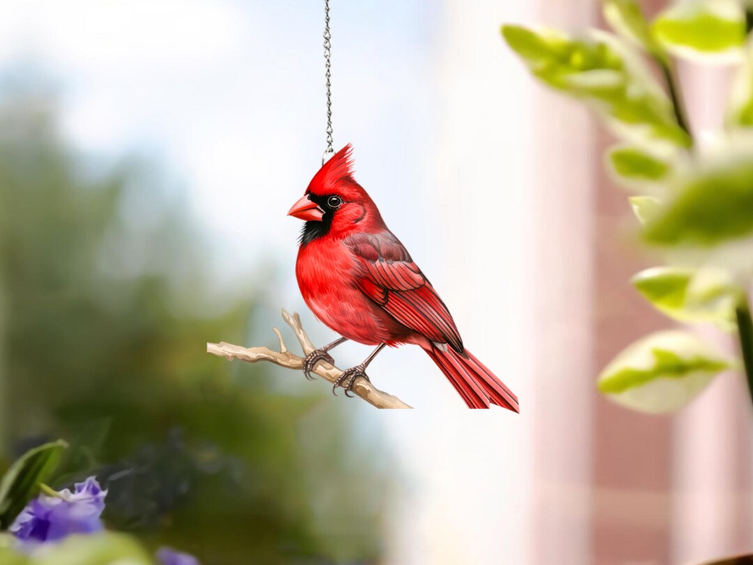 Cardial Windows Racks Cardinal Acrylic Window Hangings, Christmas Gifts, Holiday Gift ...