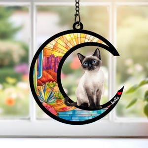 Custom Cat Memorial Suncatcher, Engraved Cat Lover, Couple Cat On Moon Loss of Pet Sympathy Gift Cat Memorial Suncatcher, Gift For Cat Lover