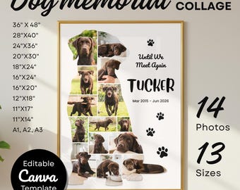 Modelo de colagem para homenagem a um Labrador Retriever: Arte de parede editável para memorial de animais de estimação, 14 fotos, 13 tamanhos.