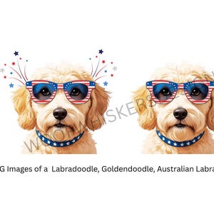Vaterländisches Gekritzel SVG | 4. Juli Goldendoodle Clipart | Vierter Juli Labradoodle Digitaler Download | Unabhängigkeitstag Hunde Art PNG