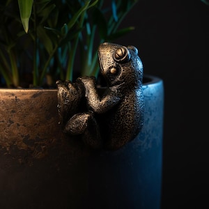 May include: A bronze-colored frog figurine clinging to the edge of a dark, textured planter. The frog has detailed features and is positioned as if it's peering over the side. Green plant leaves are visible inside the planter, creating a natural contrast.