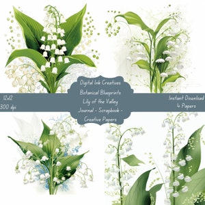 Blueprint Lily of the Valley Botanicals 12x12 300 dpi 4 JPG Papers Instant Download  Junk Journal Scrapbooking Paper Creative Paper Crafts