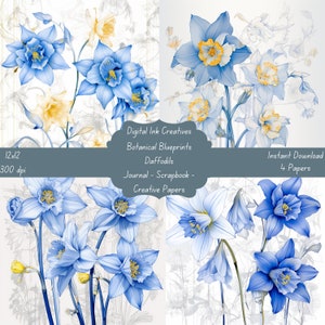 Blueprint Daffodils Botanicals 12x12 300 dpi 4 JPG Papers Instant Download  Junk Journal Scrapbooking Paper Creative Paper Crafts