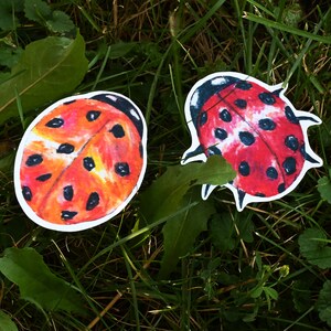 Stickers coccinelles !! | illustration aux crayons de couleur, autocollants en vinyle mat