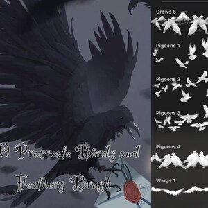 60 Procreate Birds and Feathers Brushes