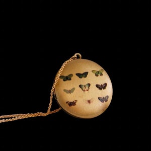 Beautiful multi Butterfly Photo Locket Necklace, Butterfly Locket