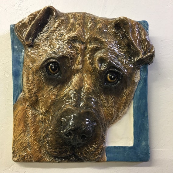 Bone mouth shar pei 2025