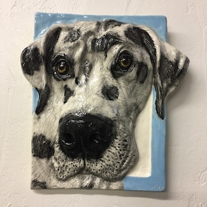 Può includere: Scultura a rilievo in ceramica della testa di un alano. Il cane ha un naso nero, occhi marroni e un mantello di macchie bianche, grigie e nere. La scultura è ambientata su uno sfondo azzurro con un bordo bianco.