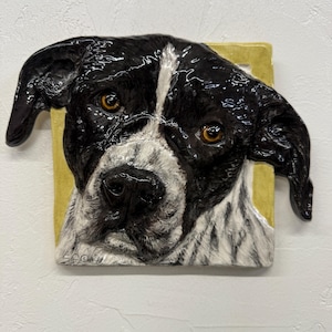 Può includere: Una piastrella in ceramica con un ritratto dettagliato di un cane. Il cane ha pelo bianco e nero, occhi marroni e un naso nero. La piastrella è posta su uno sfondo giallo, creando un contrasto. L'opera d'arte è montata su un muro bianco.