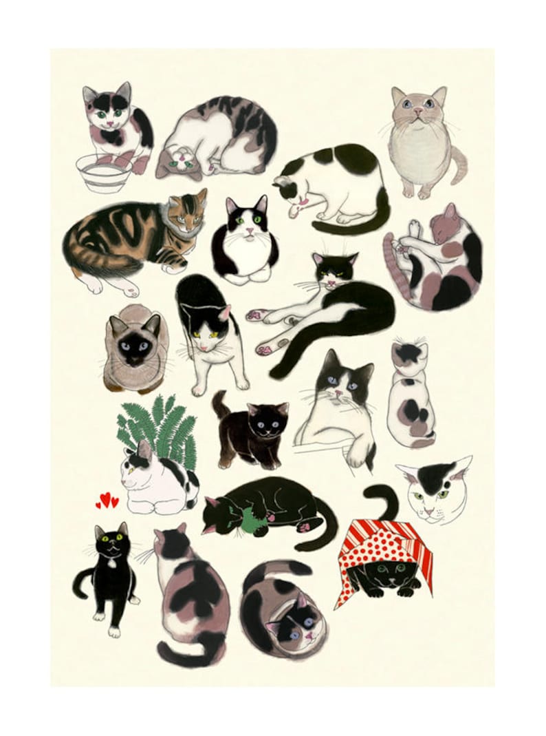 il tuo gatto datazione