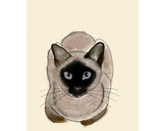 Siamese Cat Art - Blue Eyes - 4 X 6 print of cat drawing - 4 for 3 SALE