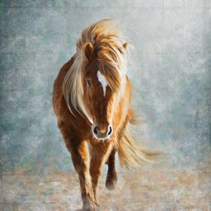Portrait de cheval rendu à la main à partir de votre image - Fichier numérique