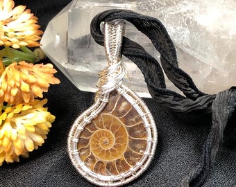 Handgewebtes Kupfer Wrapped Ammonite Fossil Anhänger Halskette, poliert Fossil Schmuck