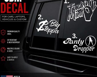 Fuckin Mint / Big steppa Decal - Decal for Cars, Laptop, Vehicle, and Custom.