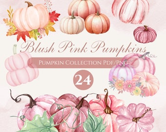 Pink Pumpkin Clipart, Pink Autumn Pumpkin Bundle, Fall Pumpkin Png, Pumpkin Season Png, Blush Floral Pumpkin, Pumpkin Fall, Retro Pumpkin