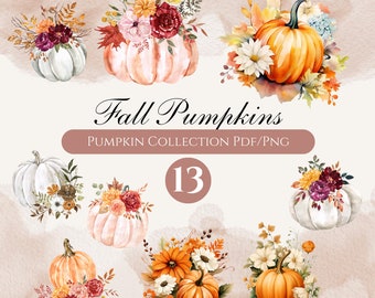 Floral Pumpkin Clipart, Autumn Flowers Bundle, Fall Pumpkin Png, Pumpkin Season Png, Pumpkin Halloween Png, Pumpkin Fall Png, Retro Pumpkin