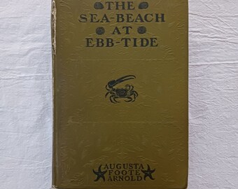 Vtg. Nature Book THE SEA BEACH At Ebb Tide Augusta Foote Arnold Ocean Life Plants Seaweed Sea life Crabs Tide pool Lobster Mollusks Hc 1903