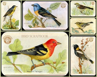 Digital Collage Birds Sheet Vintage
