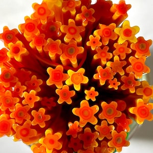 May include: A close-up of a bunch of orange and yellow glass flower-shaped beads. The beads are arranged in a circular pattern, with the points of the flowers facing outwards.