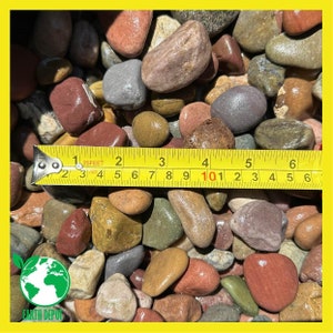 10 lbs Pastel River Rocks, Size 1&quot; to 2&quot;, Gravel Stones Pebbles Aquarium Fish Tank Terrarium Garden Landscaping