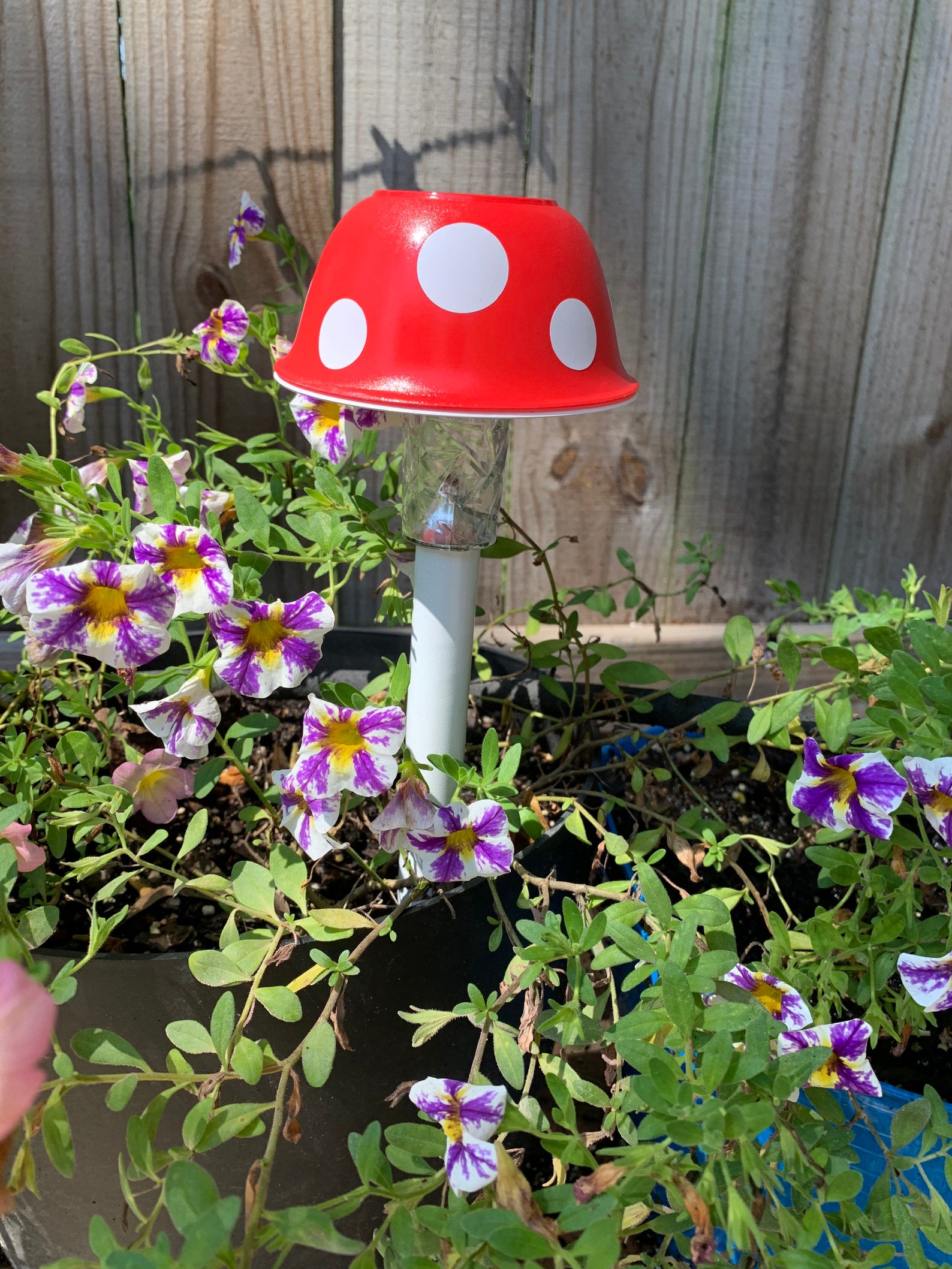 Toadstool Mushroom Solar Light Ground Stake | Etsy