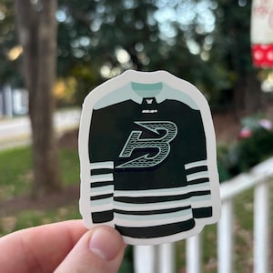 PWHL Jeresy Stickers!  Stickers for the Hockey Season! Boston Fleet, Montreal Victories, New York Sirens, Toronto Scepters, Minnesota Frost!