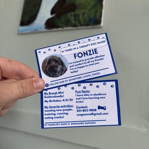 Therapiehund Personalisierte Karten mit benutzerdefinierten Farben und Fakten!, 2 Seiten, Assistenztier, Therapiehund, Infografik Karten, Einrichtungshund