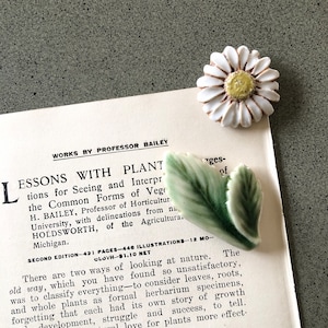 以下が含まれることがあります： 教授ベイリーによるヴィンテージブック「Lessons with Plant」。本の表紙には、白いデイジーのピンが置かれた緑色のセラミックの葉が描かれています。